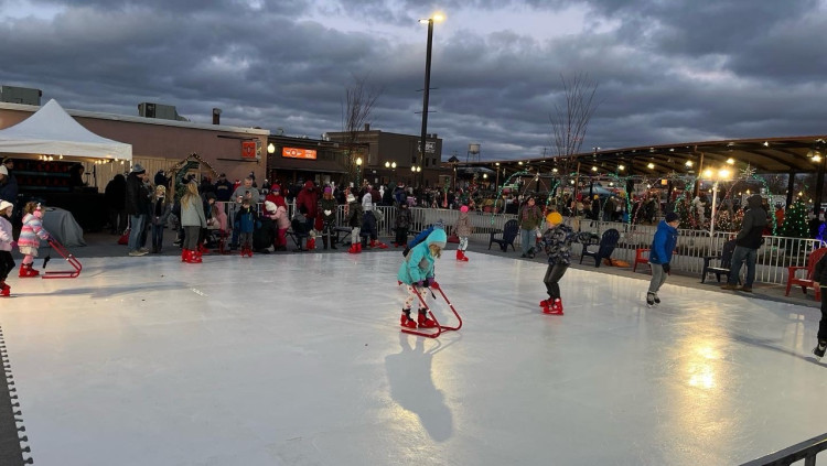 Synthetic Ice Rink 20x40 Synthetic Ice Rink 20x40